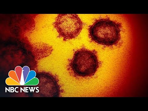 Health Experts Testify On Coronavirus Outbreak Before House | NBC News (Live Stream Recording)