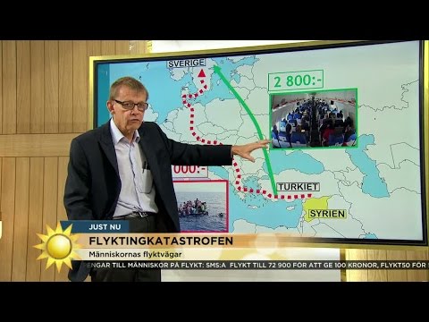 Hans Rosling: "Man kan ju ta dit en färja" - Nyhetsmorgon (TV4)