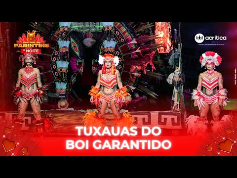 BOI GARANTIDO: DANÇA DOS TUXAUAS NA 3ª NOITE