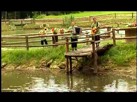 Ansambel Brloga, Saj ne bi pel, videospot-original.wmv