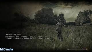 【ELDEN RING/エルデンリング】#57 王都ローデイル攻め【実況】