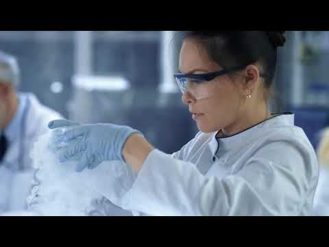 BELSHINA   The Art of Motion