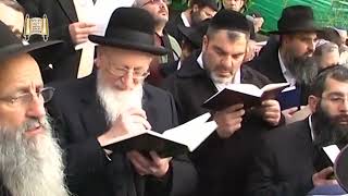 נדיר ביותר - ברכת האילנות עם מרן הראשל"צ הרב מרדכי אליהו זצוק"ל בשנת תשס"ח (הרב מרדכי אליהו זצ"ל) - התמונה מוצגת ישירות מתוך אתר האינטרנט יוטיוב. זכויות היוצרים בתמונה שייכות ליוצרה. קישור קרדיט למקור התוכן נמצא בתוך דף הסרטון