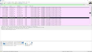 3.7.10 Lab - Use Wireshark to View Network Traffic