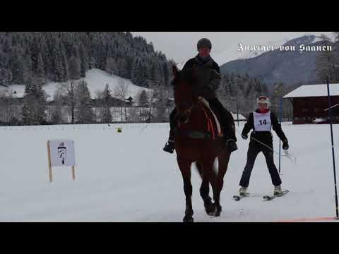 Skijöring – eine Tradition lebt auf