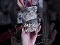 Snake shed in witchcraft, snake shed magical properties, witchcraft, witch tips, baby witch tips
