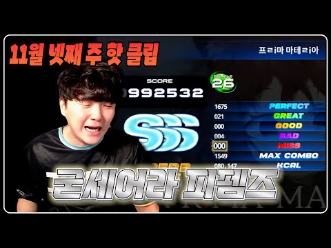 굳세어라 피펨즈 [11월 넷 째주 핫클립]