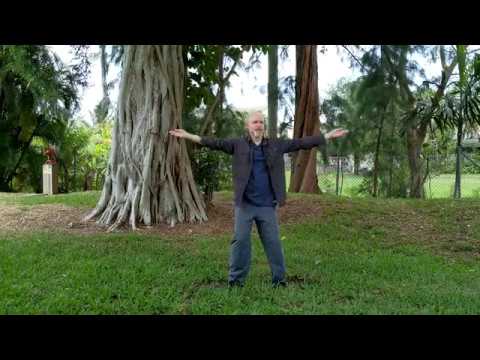 Xinyi Five Elements Qigong - 心意五行气功
