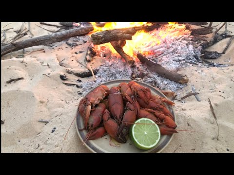 HUGE Freshwater YABBIES catch and cook on the fire