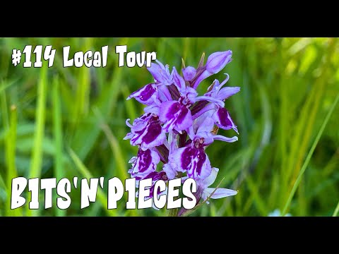 Orchid Hunter - 114 - Bits'n'Pieces (20th June 2022)