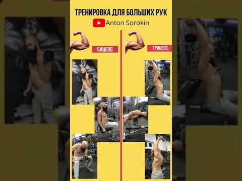 Руки базуки. Тренировка для больших рук