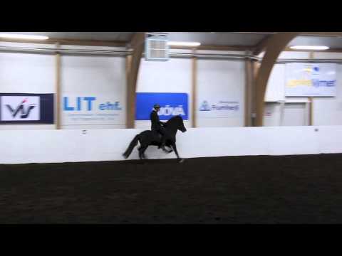 Hringur frá Gunnarsstöðum