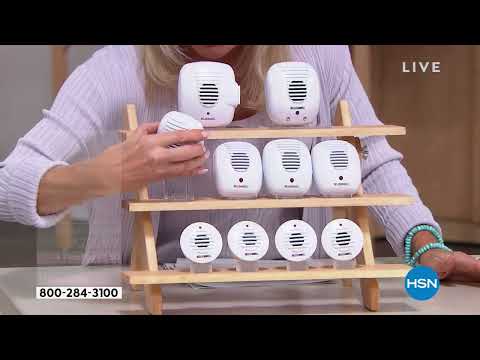 HSN | Daily Deals & Top Finds - Semi-Annual Clearance 06.29.2022 - 01 PM