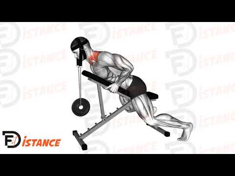 Exercice Extension de cou allongée avec harnais