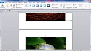 Reduce the size of all pictures in MS Word