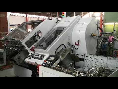 RICOME RPDV 94 Strip Feed Press