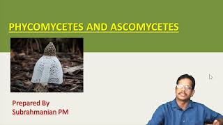 XI BIOLOGY/CHAPTER 2/PART- 13/BIOLOGICAL CLASSIFICATION /PHYCOMYCETES AND ASCOMYCETES