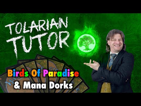 Tolarian Tutor: Birds Of Paradise And Mana Dorks - Improve Your Magic: The Gathering Gameplay