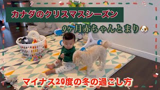 【日韓夫婦カナダ暮らし】9ヶ月赤ちゃん👶クリスマスシーズン🎄韓国料理🇰🇷ファーマーズマーケット🛍️寒い日の過ごし方☕️