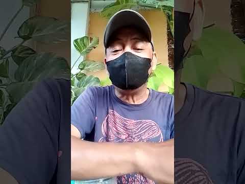 Troubleshooting to lessen/minimize build up lactic acid from cracked corn 🌽