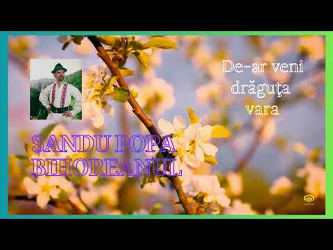 Sandu Popa Bihoreanul - De-ar veni drăguţa vara