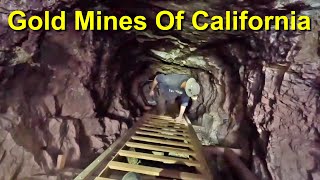 Gold Mining In California