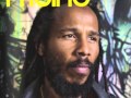 Ziggy Marley & The Melody Makers - In The Flow (2015 Remix)