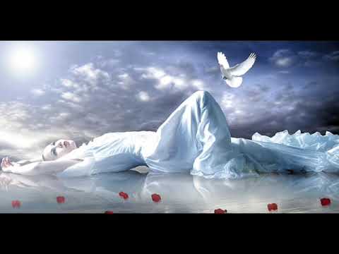 ▶Vernissage◀   Helmut Brandenburg