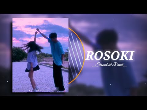 ROSOKI [slowed + reverb] - Tanmoy Saikia & STANNiUM | PRACHUJYA