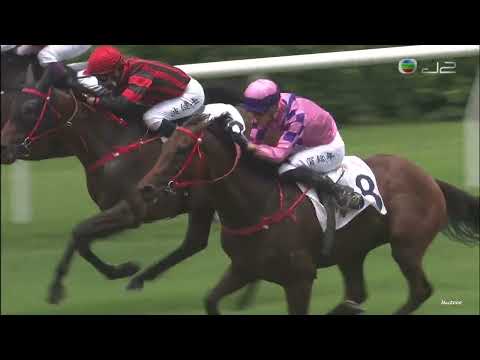 29/05/2022 (704) 健康快駒 (G010) 賀銘年