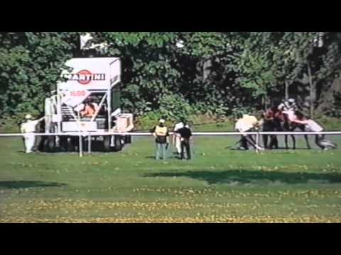 Nagroda Strzegomia - 5.05.2002 - Dancer Life  (Professional - Dyktatorka)