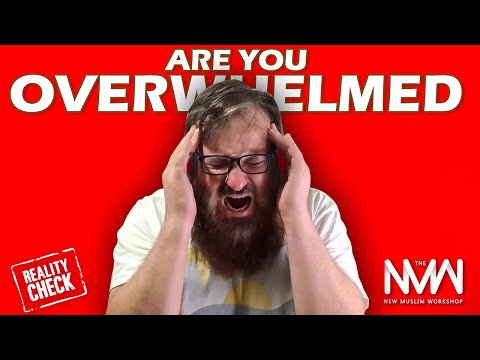 Revert Reality Check - Overwhelmed