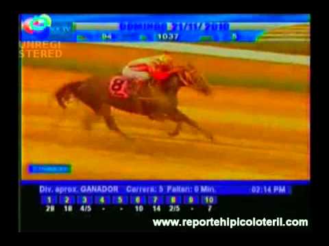 Resumen La Rinconada Domingo 21/11/2010