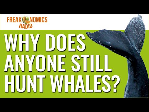 Why Do People Still Hunt Whales? | Freakonomics Radio | Episode 550