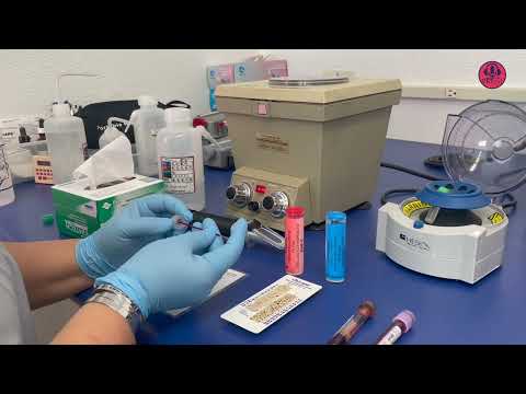 VETgirl How to Video: How To Perform a PCV/TP in Veterinary Medicine