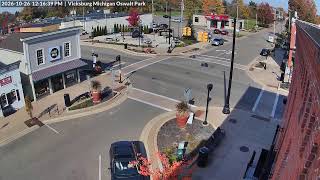 Vicksburg Michigan Oswalt Park Live 24/7 live webcam