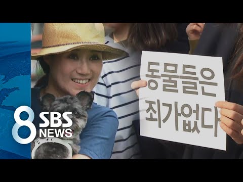 「안락사를」의 한국수어 표현