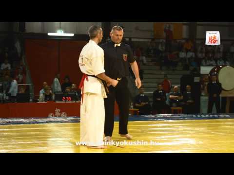 Gábor Rózsa vs  Oruj Safarov - European Championship Shinkyokushin Switzerland 2013