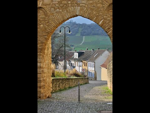 Ingelheim am Rhein, Germany