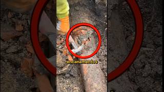Esta casa estava simplesmente podre! #shorts #viralvideo