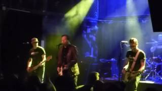 The Mr. T Experience - Swallow Everything