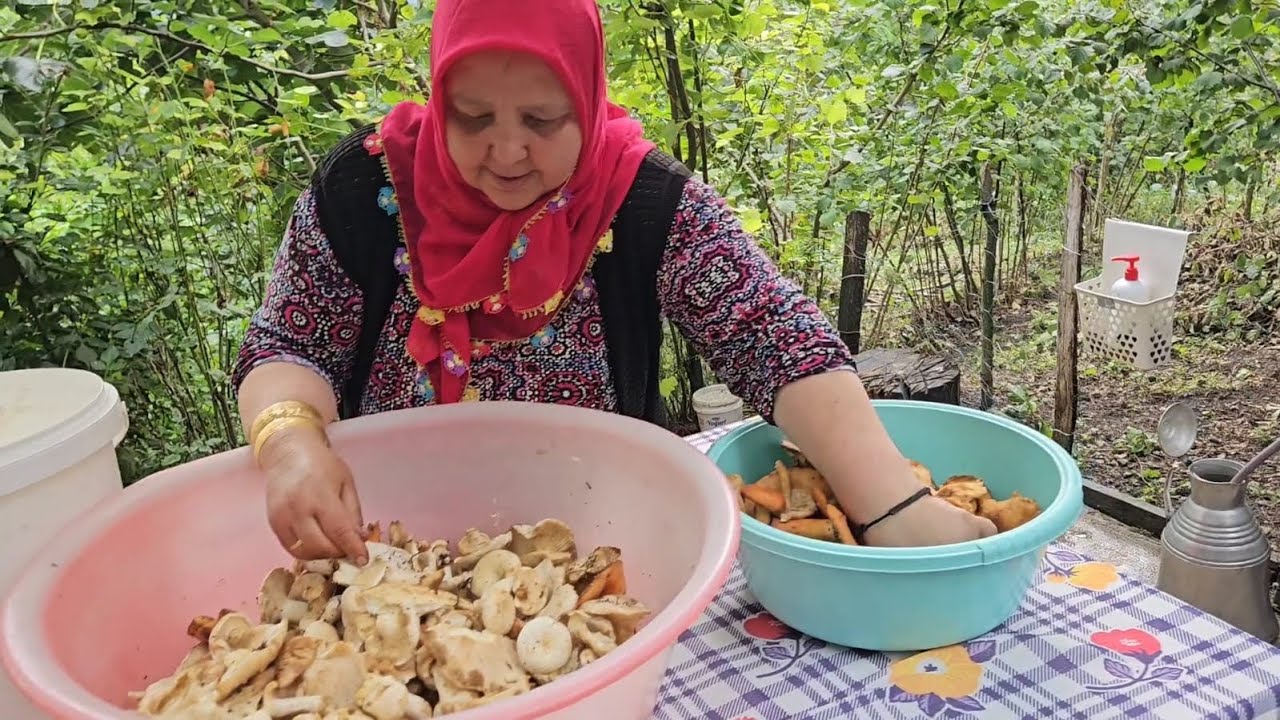 ‼️KÖYDE MANTAR GÜNÜ🍄‍🟫TİCARET PAYLAŞIM SOHBET ‼️