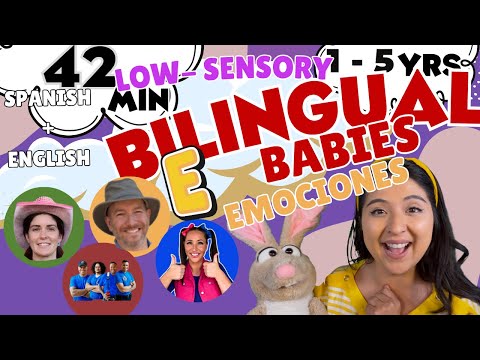 Ms Aimee Littles and 3 more