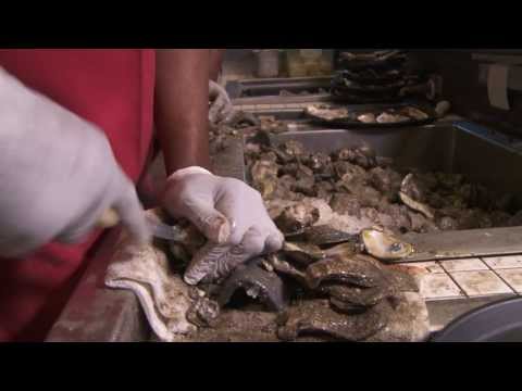 download lagu mp3 mp4 Raw Oysters Baton Rouge, download lagu Raw Oysters Baton Rouge gratis, unduh video klip Raw Oysters Baton Rouge