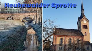 Heukewalder Sprotte