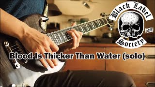 Black Label Society / Zakk Wylde - Blood Is Thicker Than Water (solo)  :by Gaku