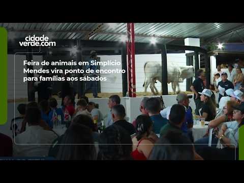 Feira de animais em Simplício Mendes vira ponto de encontro para famílias aos sábados