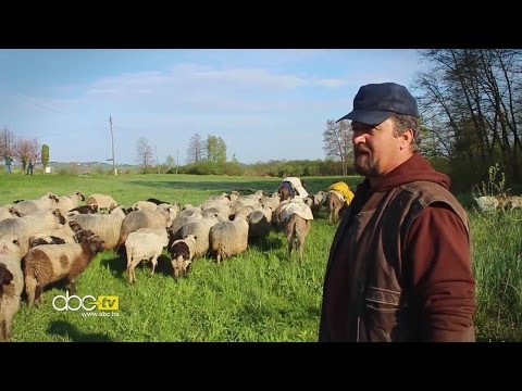 ABC.TV / Dokumentarni film "Brako"