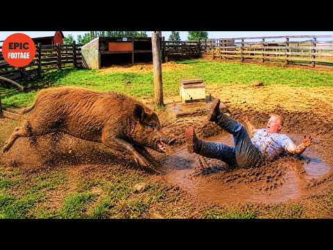 200 Real-Life Shocking Moments Caught on CCTV | Unbelievable Moments Filmed Just Before Disaster #42