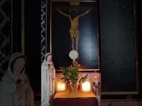 Adoración al Santísimo Sacramento del Altar con el Padre Fabian Esteban Oliva. 14/06/26